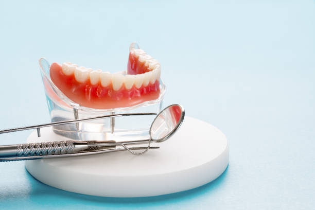 Best Preventive Dentistry  in Lake Camelot, IL